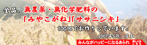 ̵������̵���������Ρ֤ߤ䤳���͡ס֥����˥�����100��