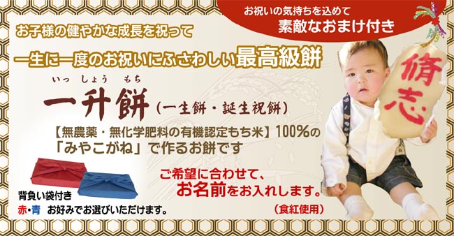 �쾣�ߡʰ����ߡ��������ߡ�